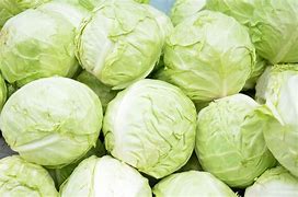 Cabbage Head Sale!!