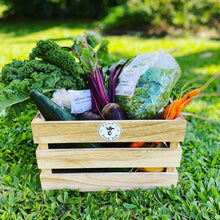 Load image into Gallery viewer, CSA 2024 Spring Mixed Produce Box
