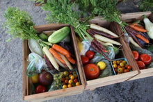 Load image into Gallery viewer, CSA 2024 Spring Mixed Produce Box
